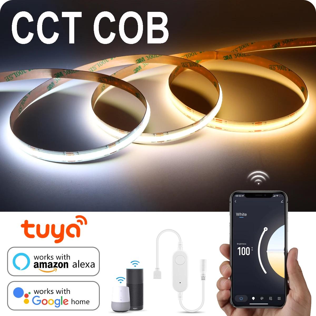 CCT Ʈ  COB LED Ʈ ,  Ʈ ,  ,  ȭƮ, ߷ ȭƮ, ȭƮ, ˷ , 608LED/M, DC24V